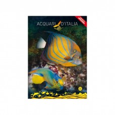 BLASETTI QUADERNO SCUOLA GRANDE FANTASIE ASSORTITE RIGO A CF.10 QUADERNI 100 GR. PRIMA E SECONDA ELEMENTARE
