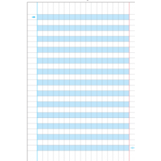 ONE COLOR QUADERNO PER DISGRAFICI  MAXI 10MM 100GR CONF.6