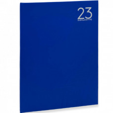 AGENDA 2023 GIORNALIERA GRANDE A4  21X29,7 BLU CHIARO