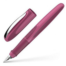 SCHNEIDER PENNA STILOGRAFICA RAY BOYSENBERRY