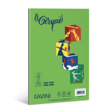 FAVINI LE CIRQUE CARTA COLORATA A4 80 G/M² RISMA DA 100 FOGLI - 5 COLORI FORTI ASSORTITI